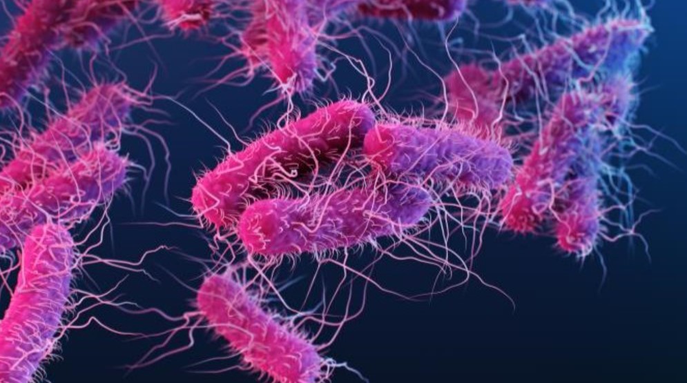 Bacteria turning waste plastic into painkillers