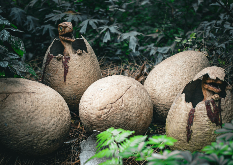 Frozen in time: 86-million-year-old Dinosaur eggs discovered in China