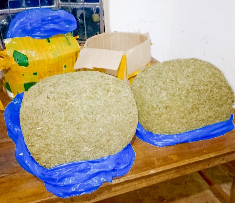 Police recover bhang worth Ksh200K in crackdown