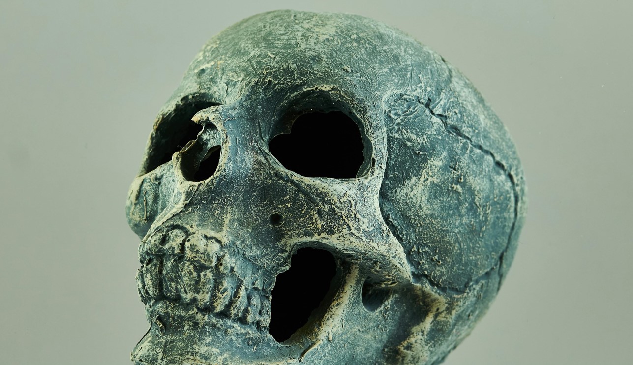 Scientists: Million year-old skull rewrites human evolution