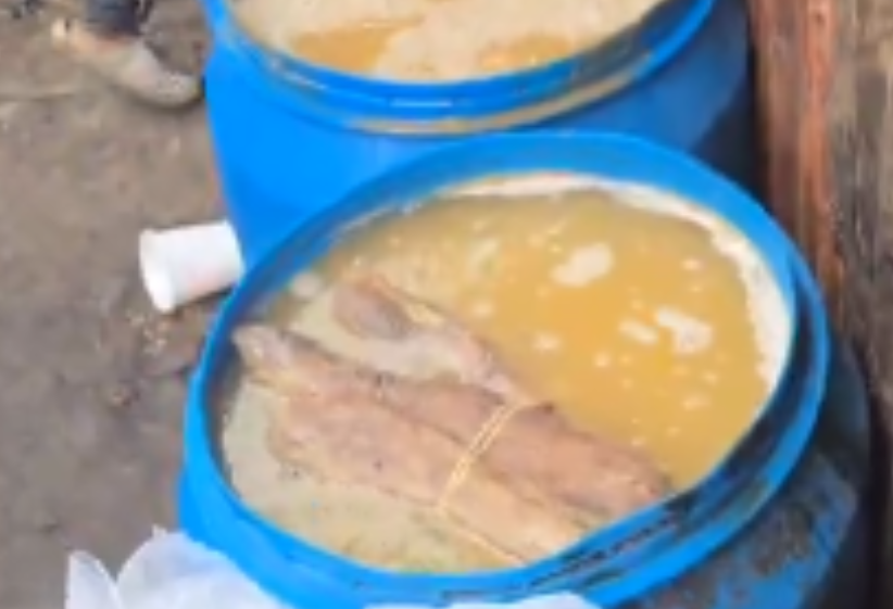Illicit brew seized by the law enforcement officers. PHOTO/Screengrab by K24 Digital from video posted on X by @NPSOfficial_KE