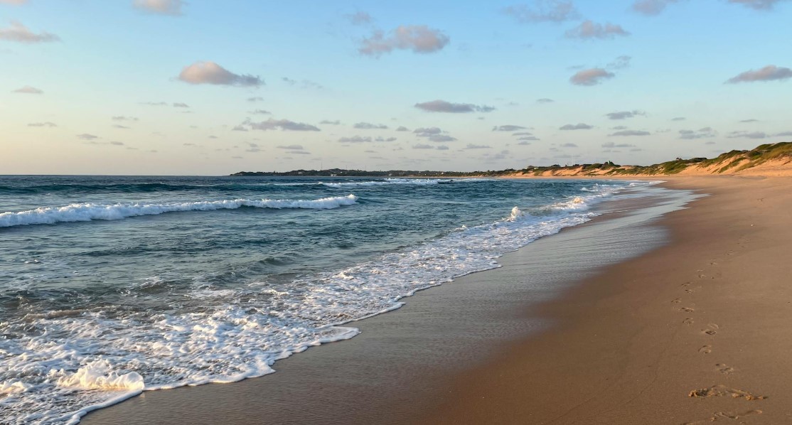 Acidity in world’s oceans crosses critical threshold for marine life