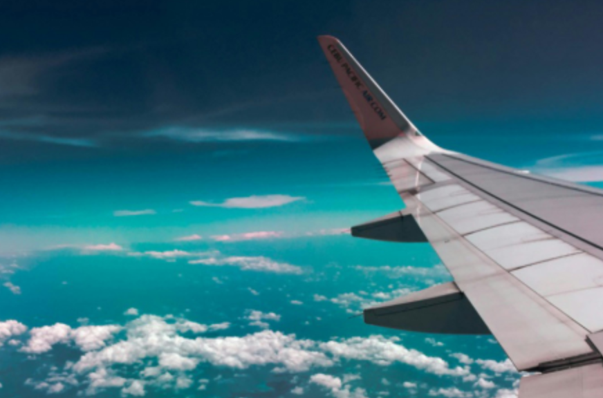 Ex-pilot who tried to cut engines on flight after taking mushrooms pleads guilty