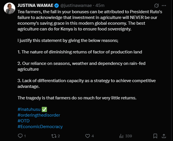 A post shared by Justina Wamae on X. PHOTO/Screengrab by K24 Digital from @justinawamae