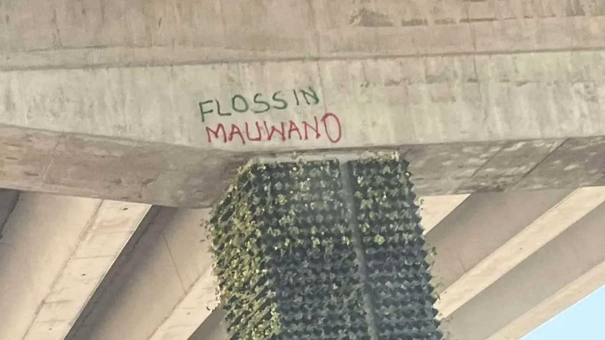 A graffiti of Flossin Mauwano written on the wall of a section of the Nairobi Expressway. PHOTO/Screengrab by K24 Digital.