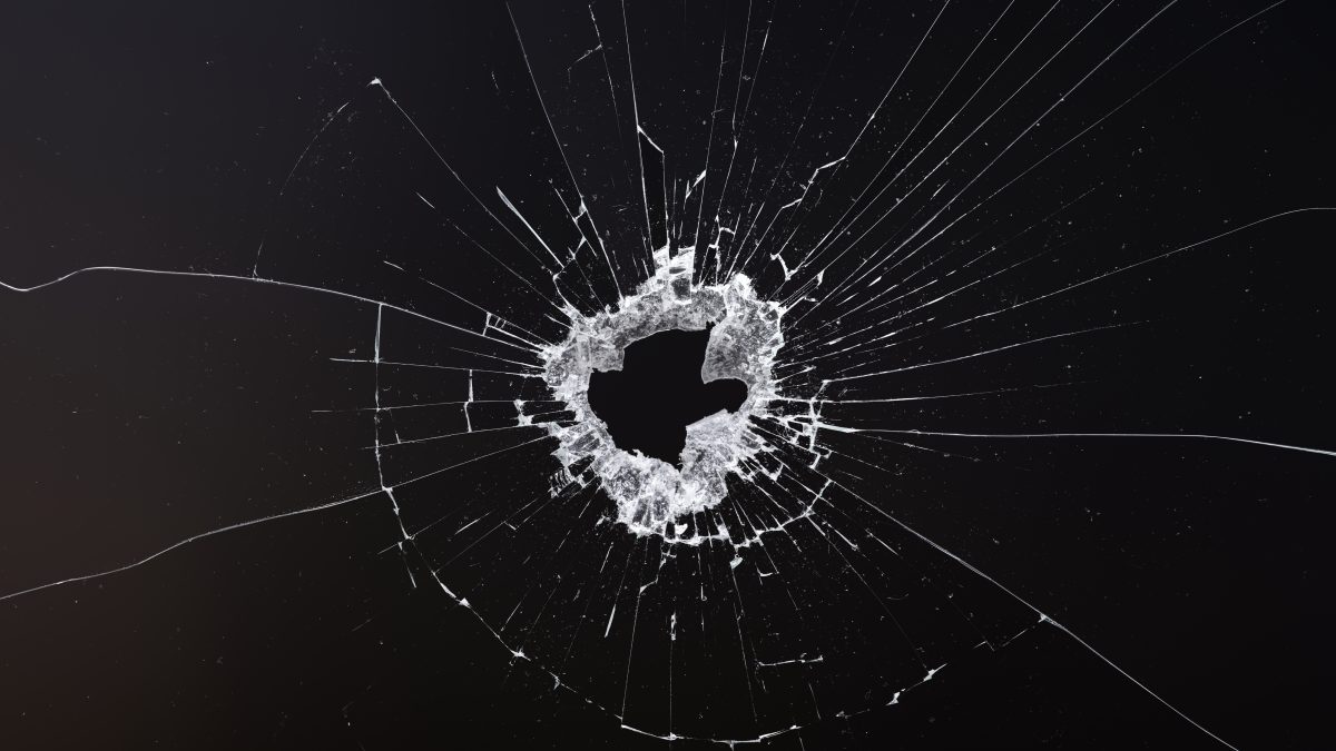 Police release a report on a man who fired gunshots at immigration officials