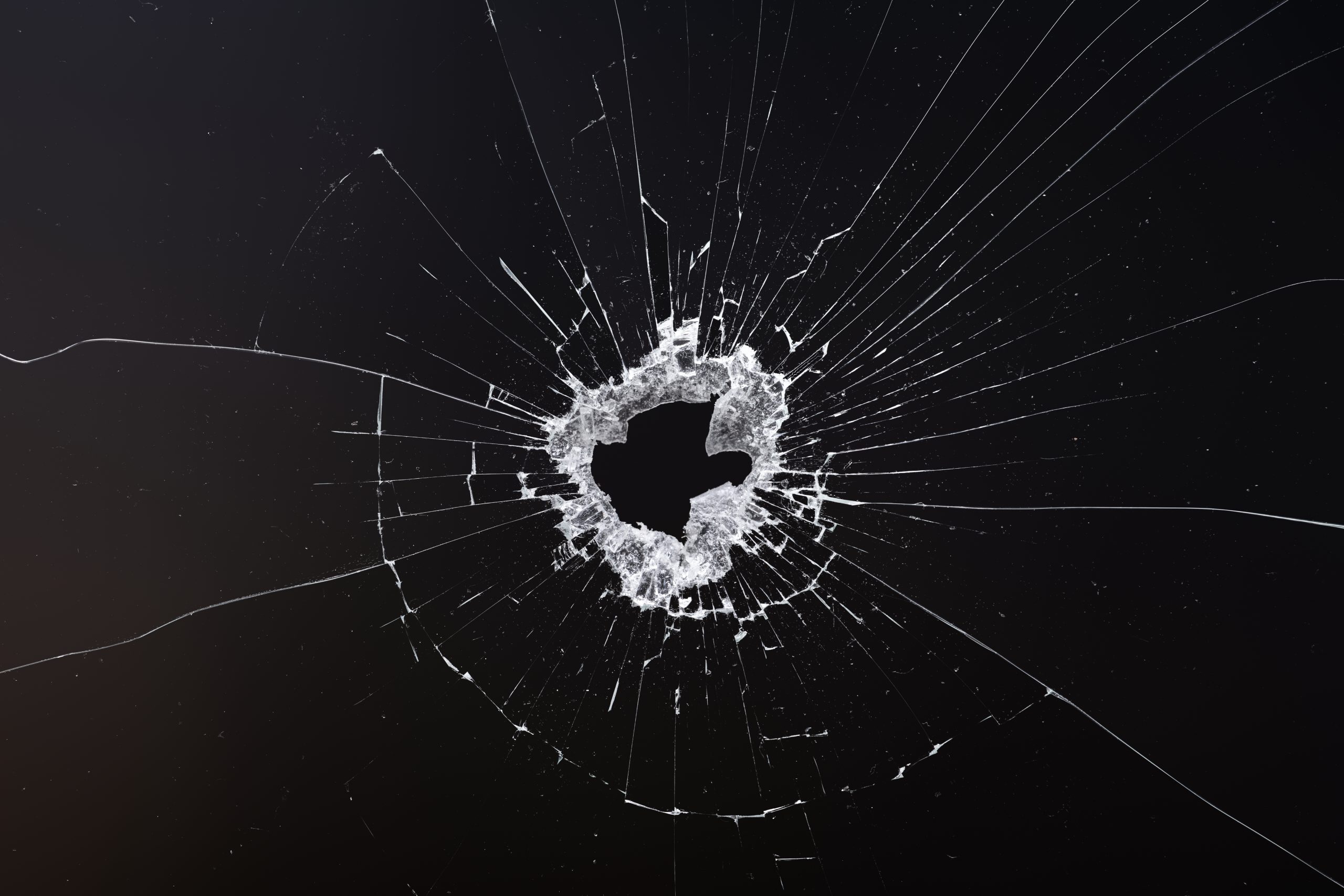 Police release a report on a man who fired gunshots at immigration officials