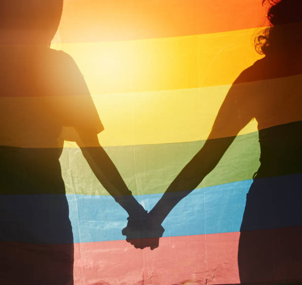 LGBT, rainbow flag and couple silhouette holding hands for gay pride, non binary support or lesbian love. LGBTQ community, overlay and queer people together in solidarity, partnership and equality. PHOTO/Pexels