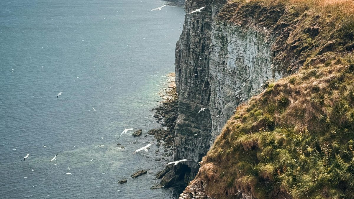 Bempton in Yorkshire, along the North Sea. Image used for illustration purposes. PHOTO/Pexels