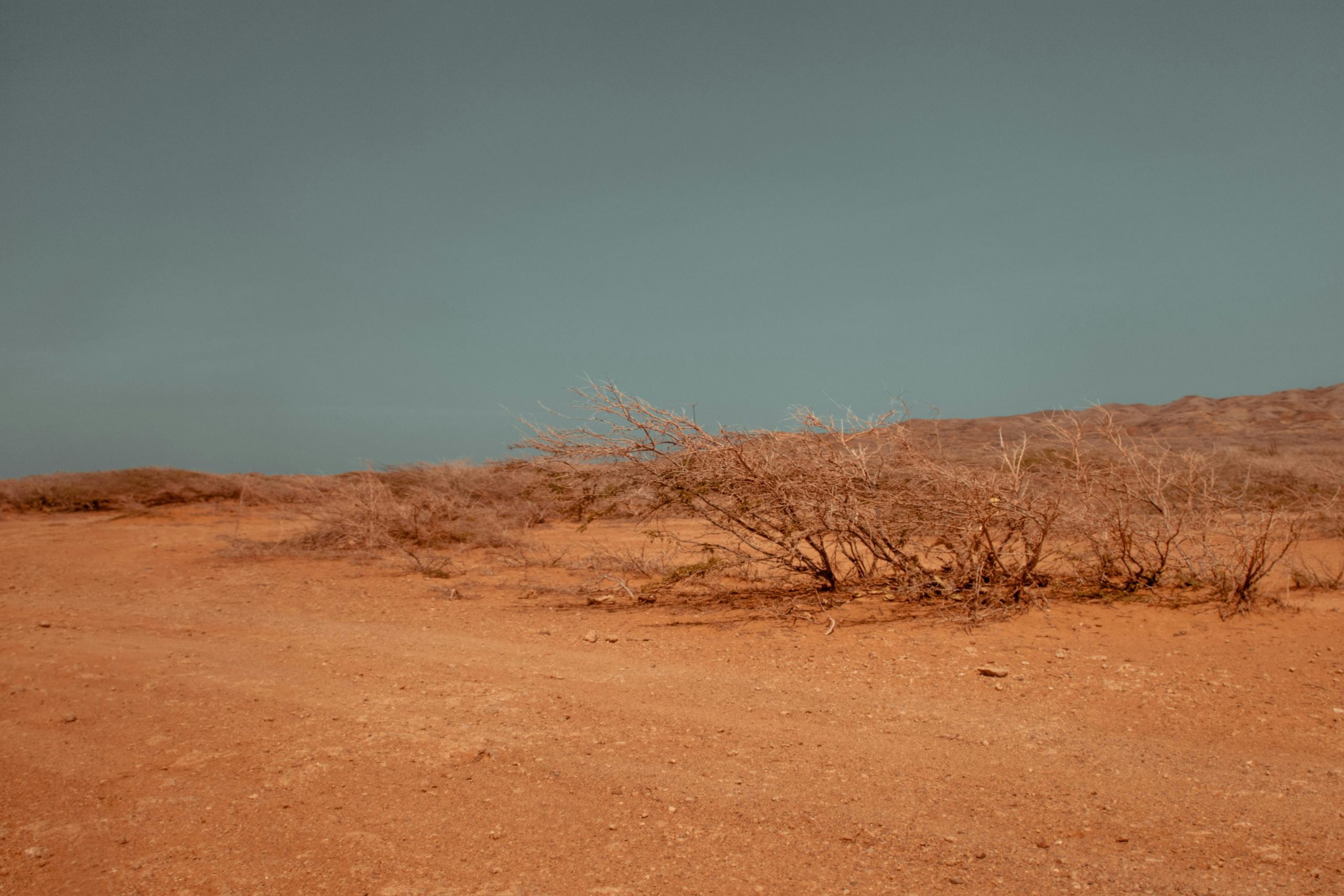  Urgent action needed to prevent starvation crisis in Kenya
