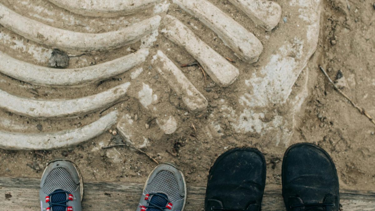 Archaeologists discover remains of 1760s schoolhouse for Black children
