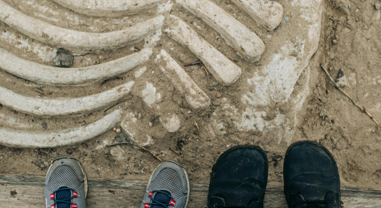 Archaeologists discover remains of 1760s schoolhouse for Black children
