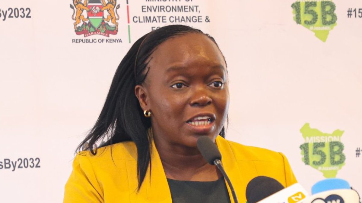 Mazingira Day: Govt calls on Kenyans to go to their former primary schools and plant trees