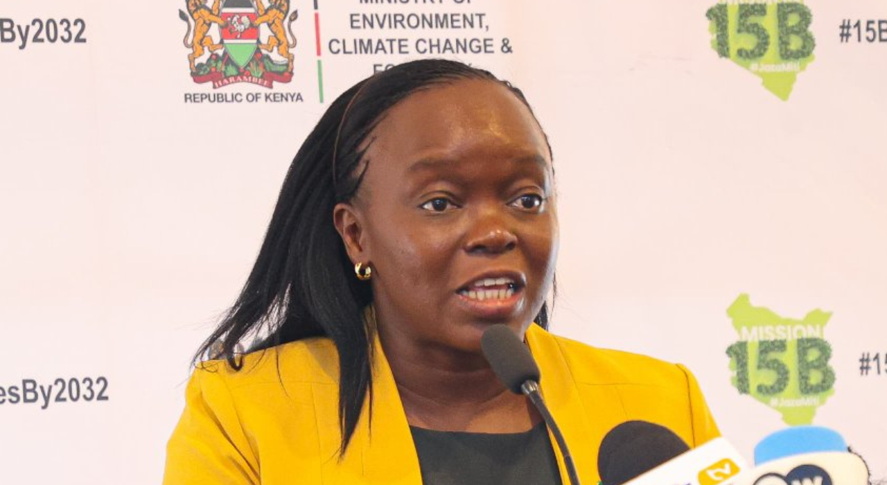 Mazingira Day: Govt calls on Kenyans to go to their former primary schools and plant trees