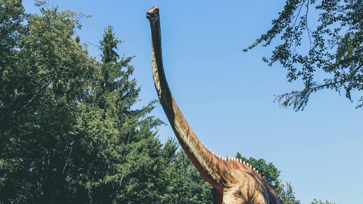 Longest dinosaur trackways in the world uncovered in the UK