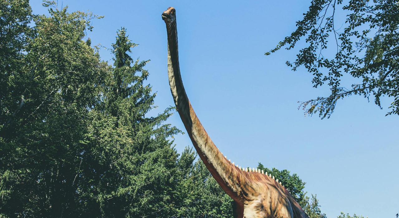 Longest dinosaur trackways in the world uncovered in the UK