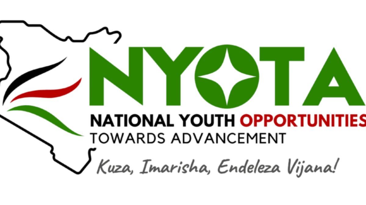 How to apply for NYOTA fund