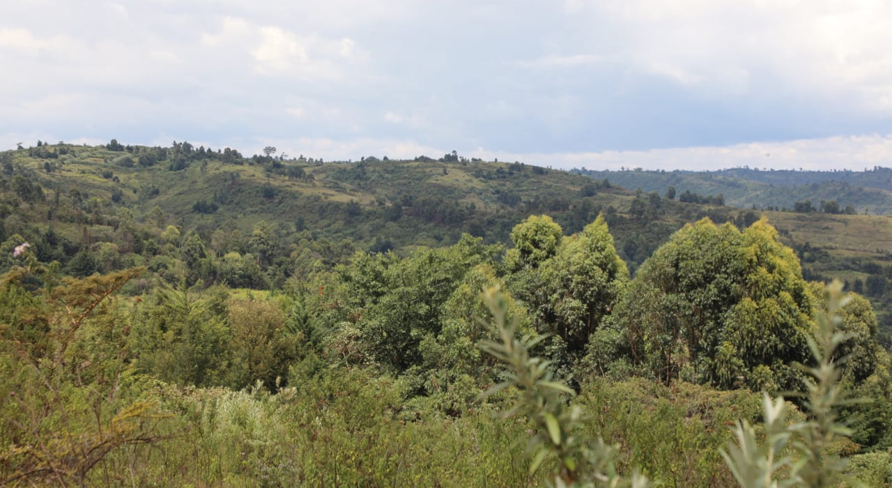 Mau evictees to receive compensation as govt tackles Transmara insecurity