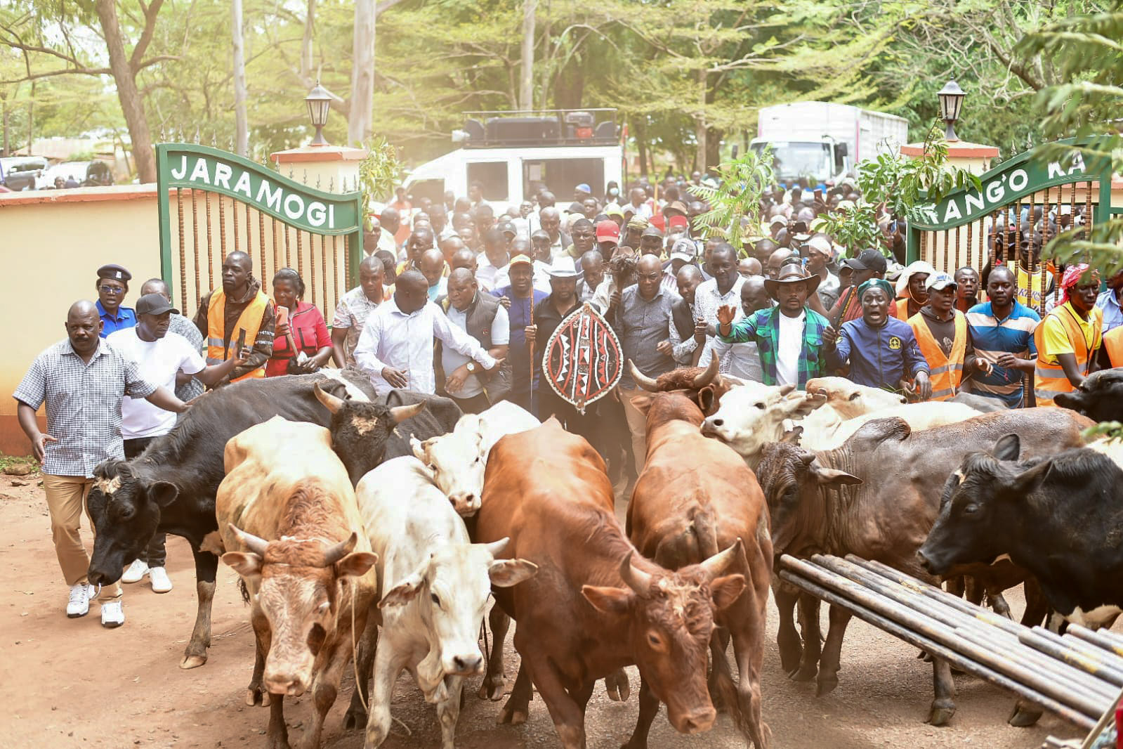 Natembeya presents bulls to honour Raila Odinga ahead of burial in Bondo