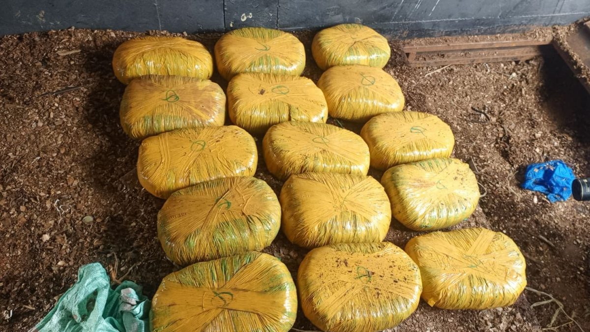 Meru: 15 bales of bhang recovered as police escalate war on illicit drugs