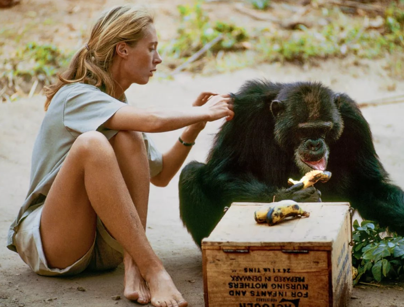 Conservationist Dame Jane Goodall. PHOTO/@JoJoFromJerz/X
