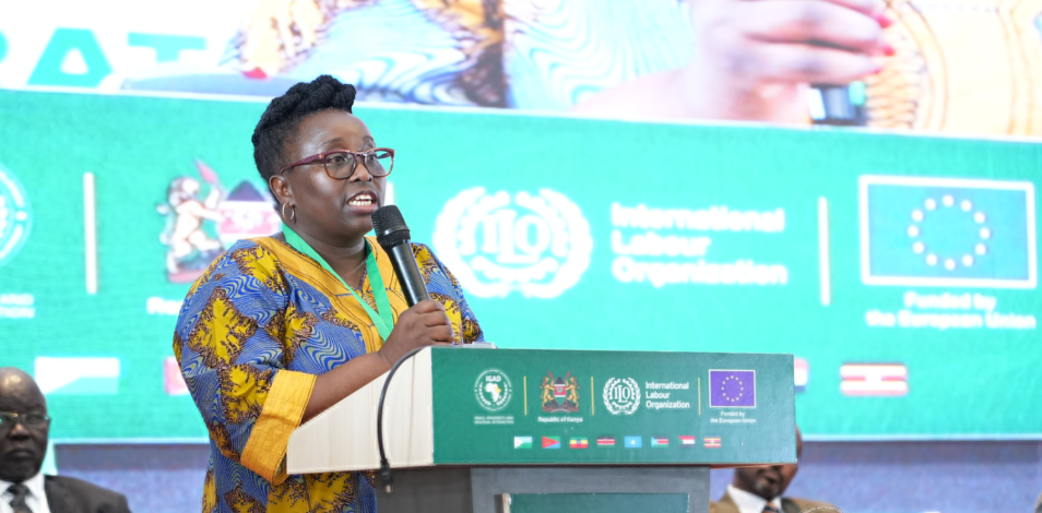 Govt urges for adoption of stronger measures to protect migrant workers in IGAD region