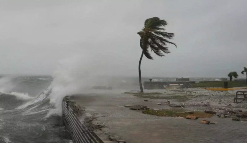 Scavenging for food in streets – desperation takes hold in Jamaica after hurricane