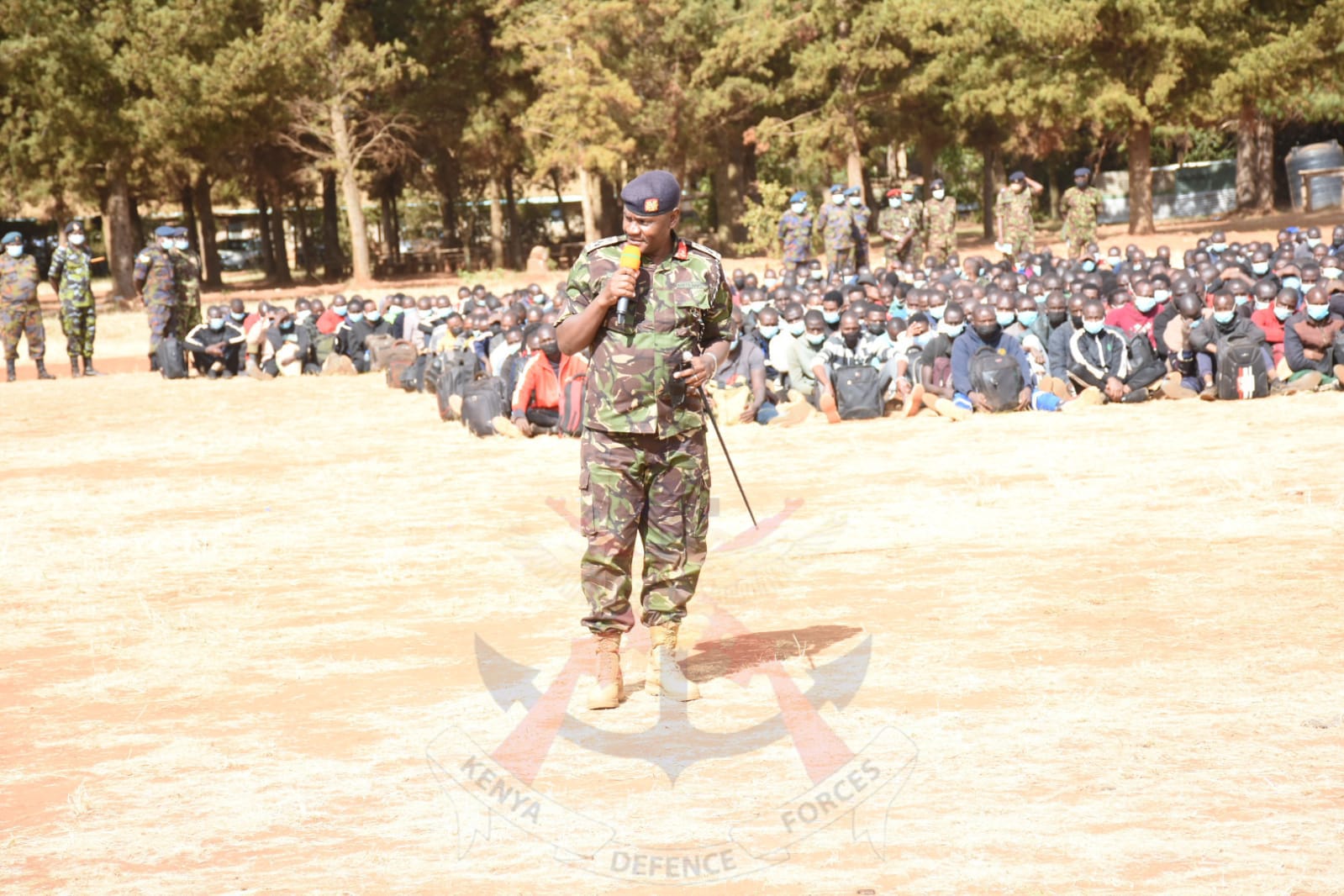 KDF recruitment 2025: Everything you need to know