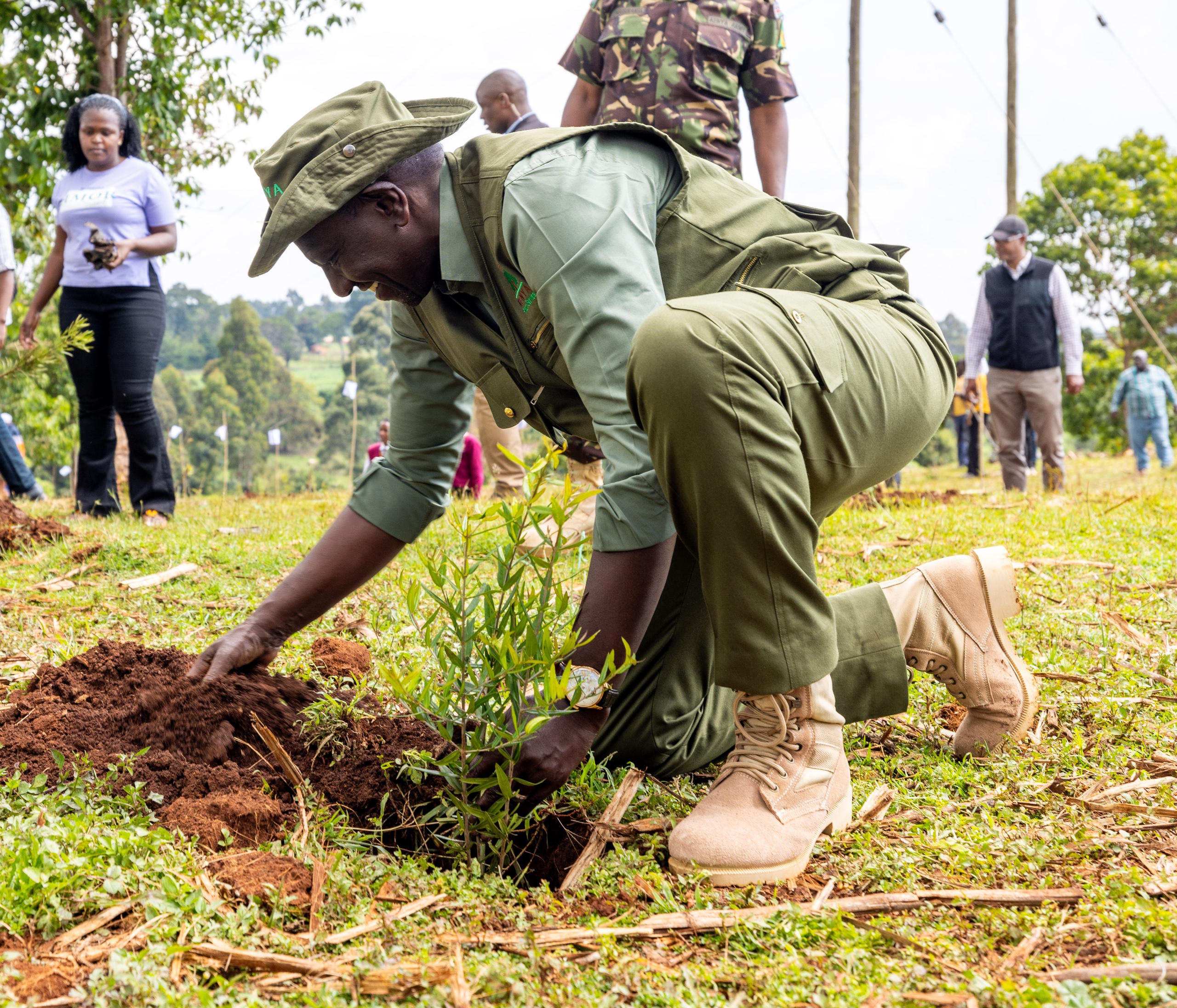 Mazingira Day: Ruto launches nationwide tree planting campaign