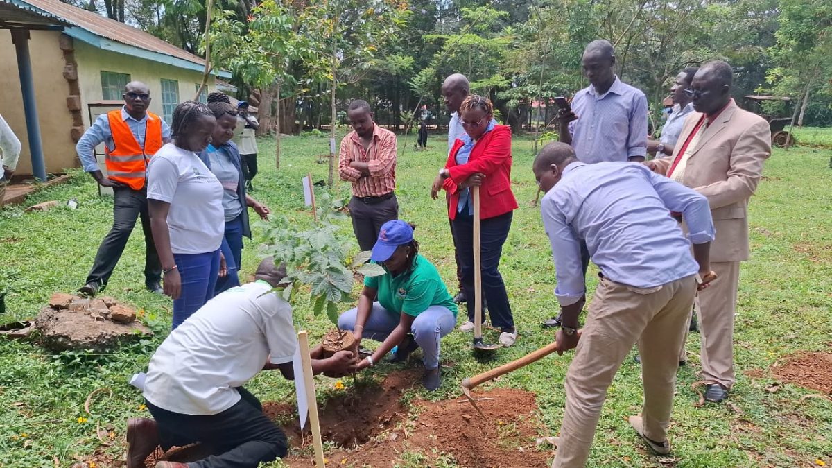 Environment Staffs planting trees to honour Raila Odinga. PHOTO/By Eric Juma