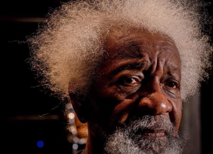 Nigerian Nobel laureate Wole Soyinka says US revoked his visa