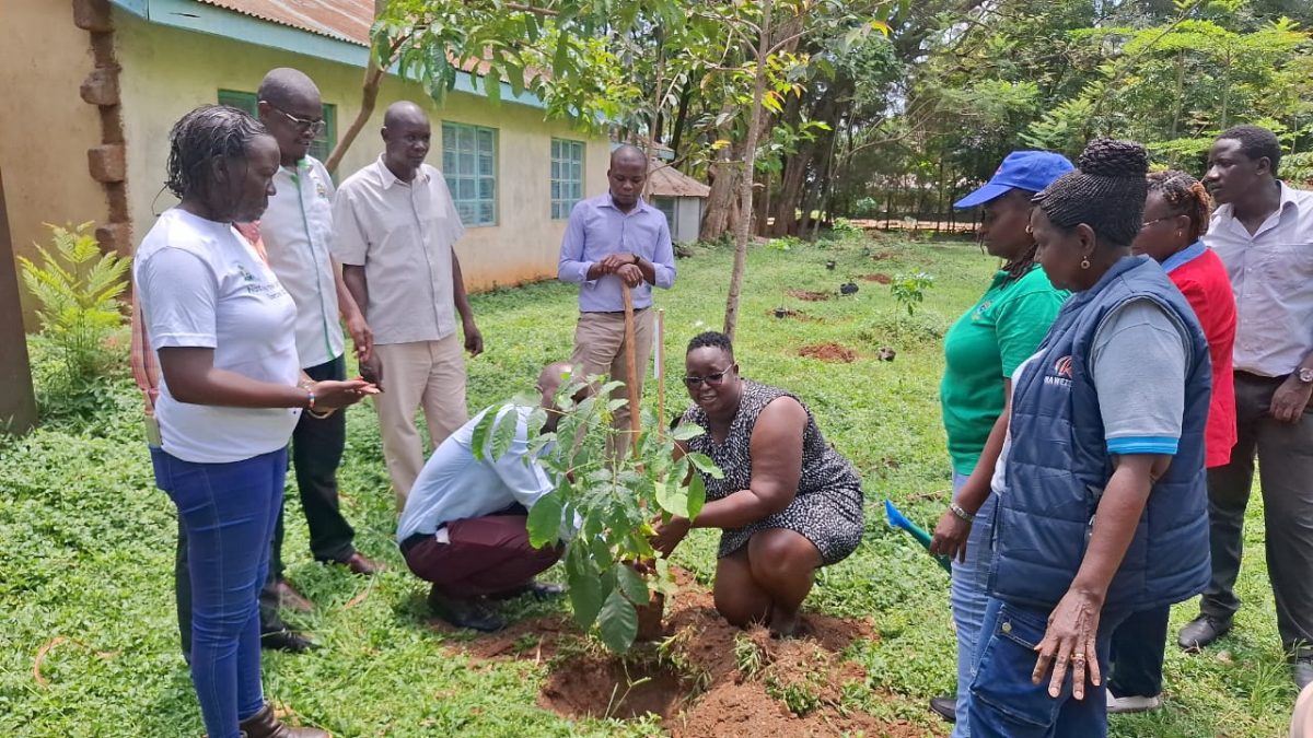 Environment Staffs planting trees to honour Raila Odinga. PHOTO/By Eric Juma