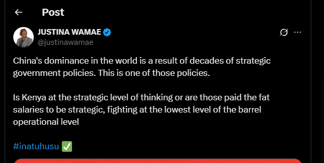 A post shared by Justina Wamae on X. PHOTO/Screengrab by K24 Digital from @justinawame