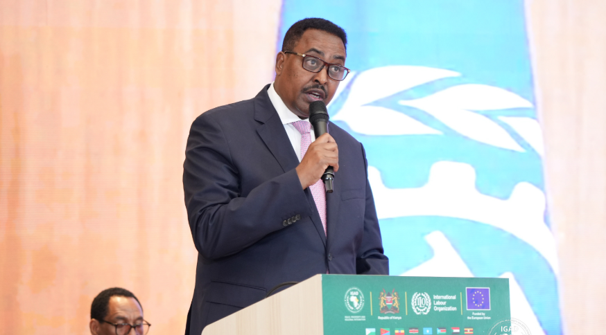 IGAD urges stronger bilateral labour agreements to safeguard workers’ rights
