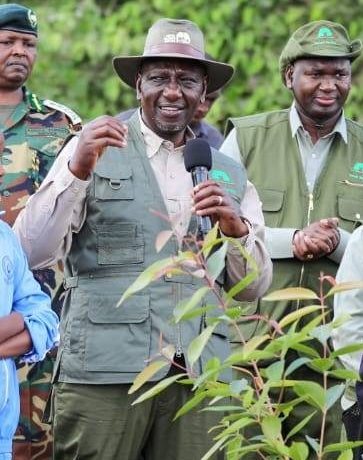 President William Ruto and State House Primary School kids plant trees at State House, Nairobi. PHOTO/https://www.facebook.com/KenyaForestService