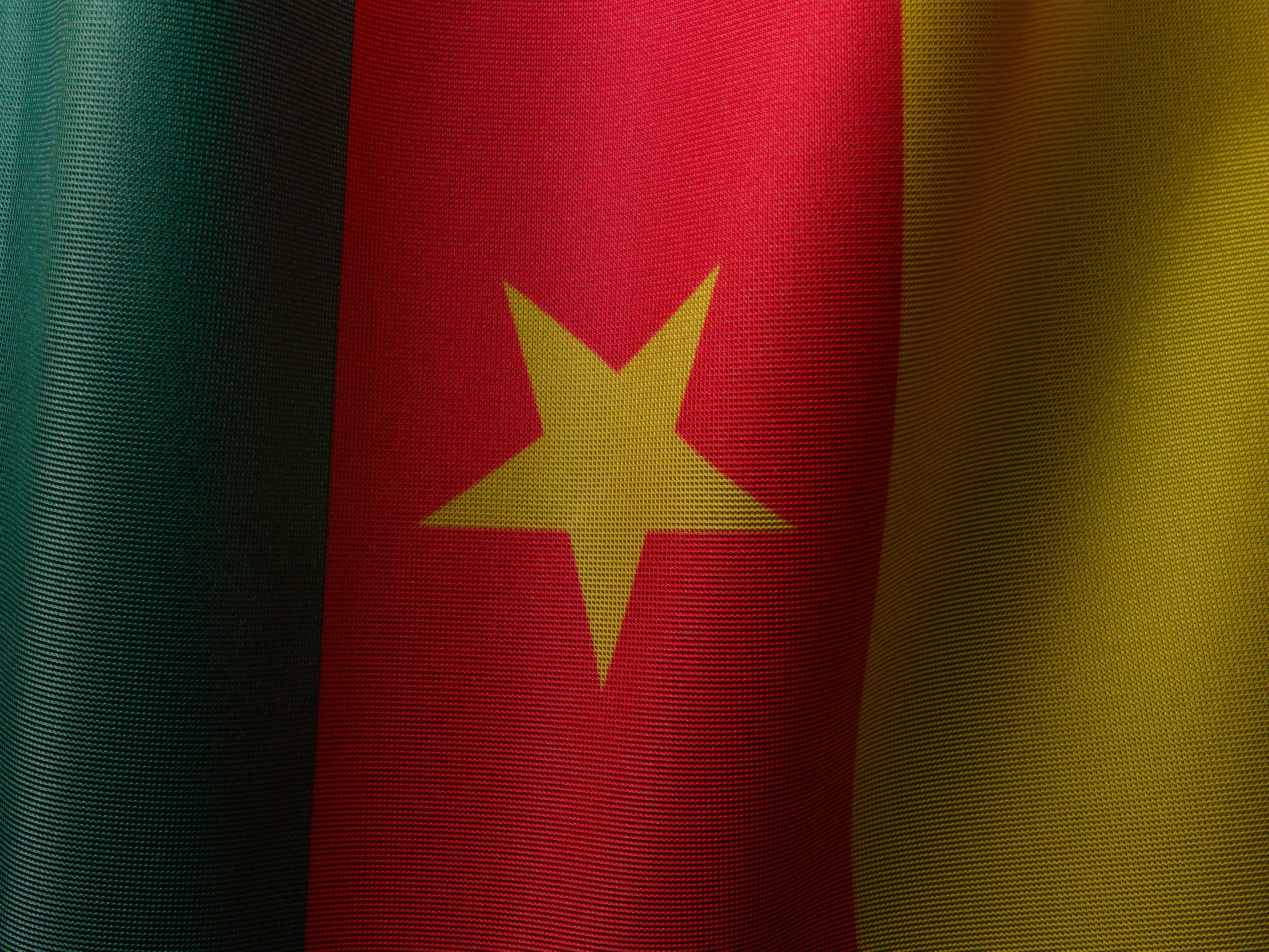 Cameroon: Opposition leaders arrested after protests over election outcome