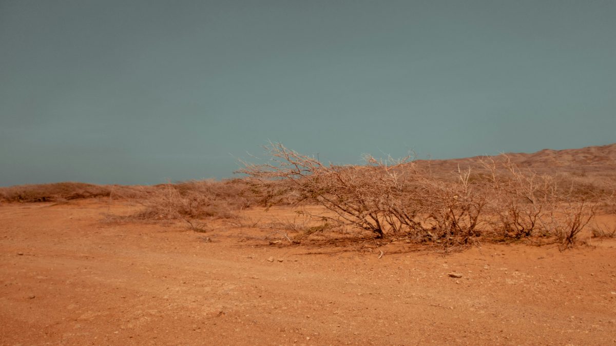 Cop30: Why rich countries have lost enthusiasm for tackling climate crisis