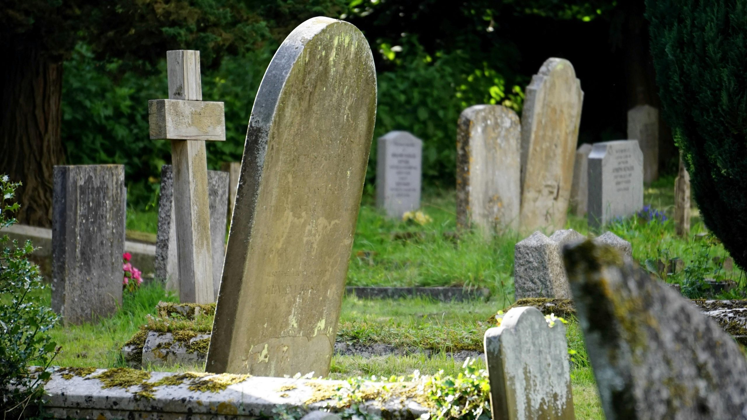 High youth death rates are an emerging crisis, global health study warns