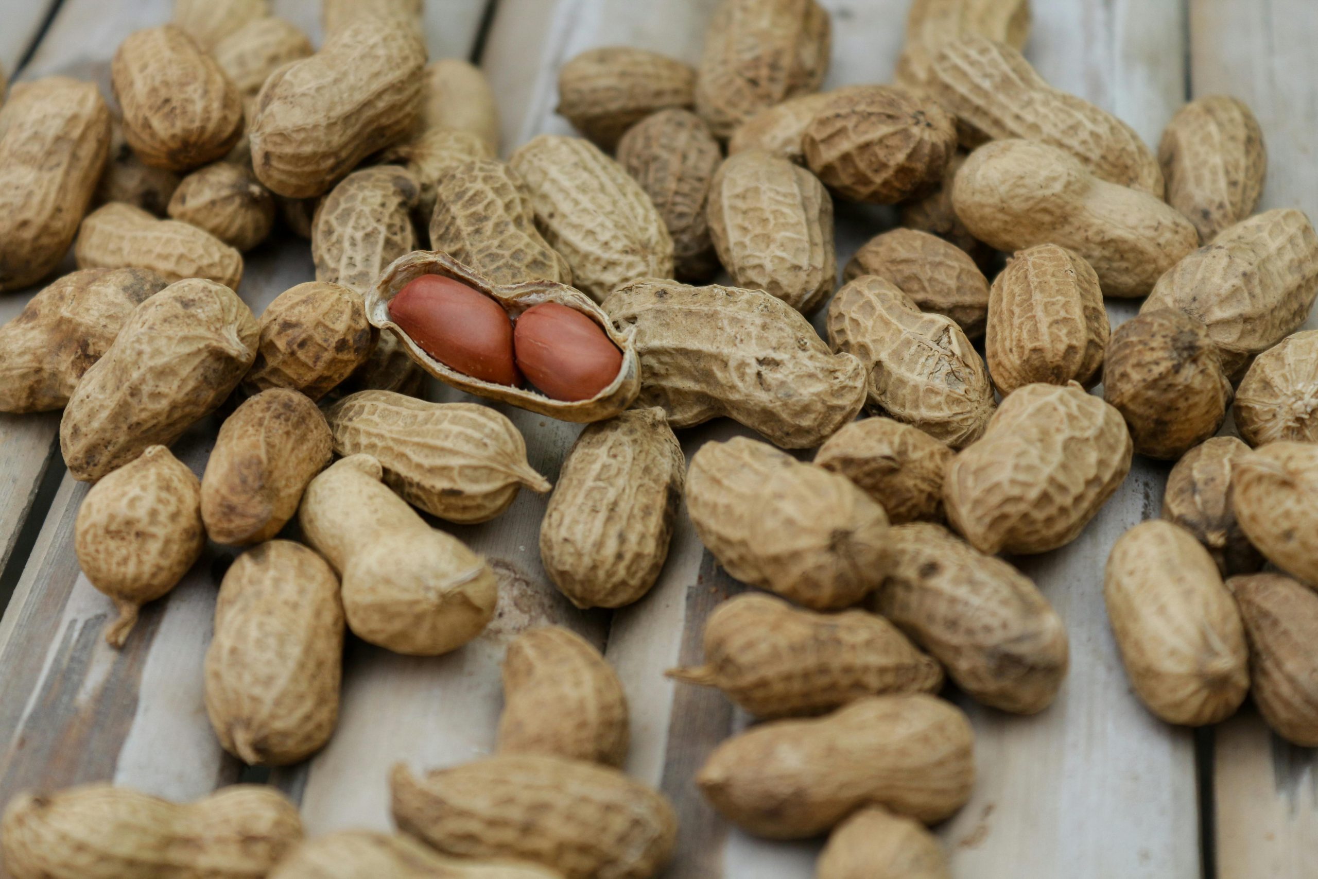 Feeding children peanuts early helps protect them from allergies – Study finds