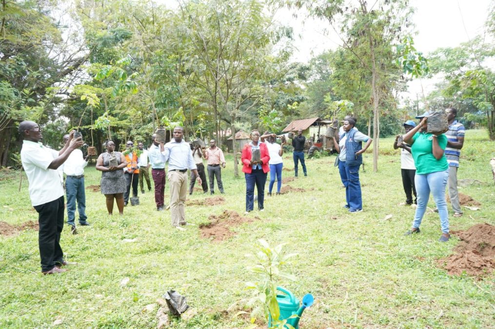 Environment Staffs planting trees to honour Raila Odinga. PHOTO/By Eric Juma