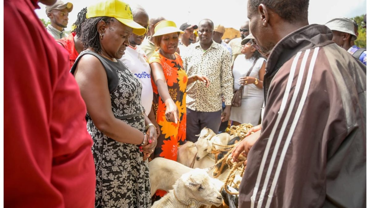 Ruto allies splash Ksh6M at goat auction ahead of Mbeere North by-election