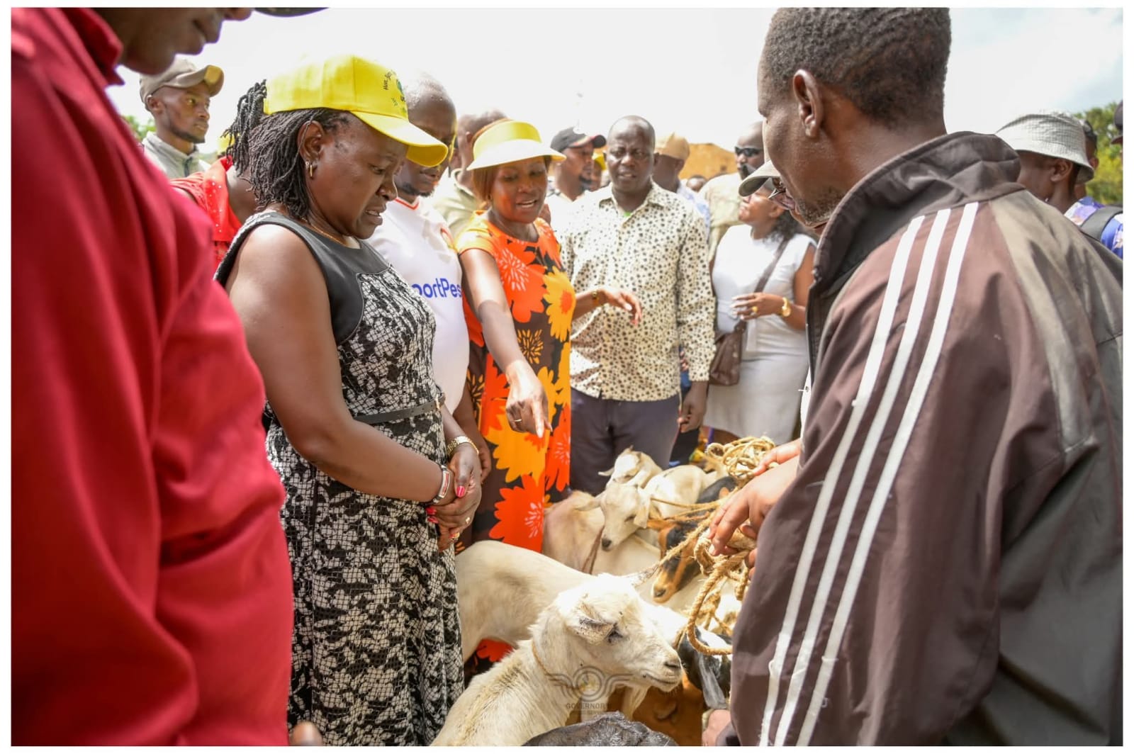 Ruto allies splash Ksh6M at goat auction ahead of Mbeere North by-election