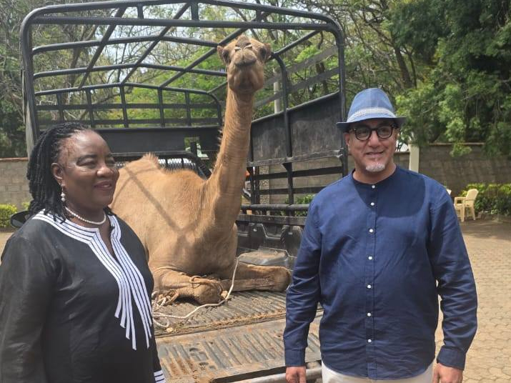 Standing out! Najib Balala visits Raila’s gravesite, offers camel as ceremonial gift