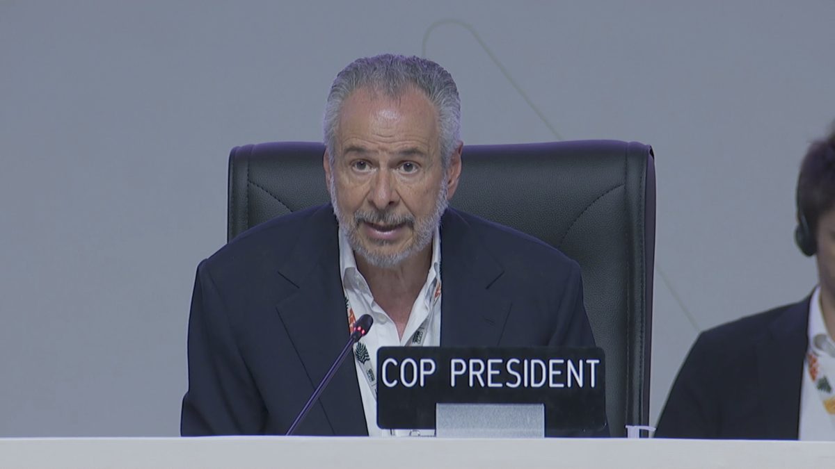Cop30 president André Corrêa do Lago. PHOTO/@LossandDamage/X