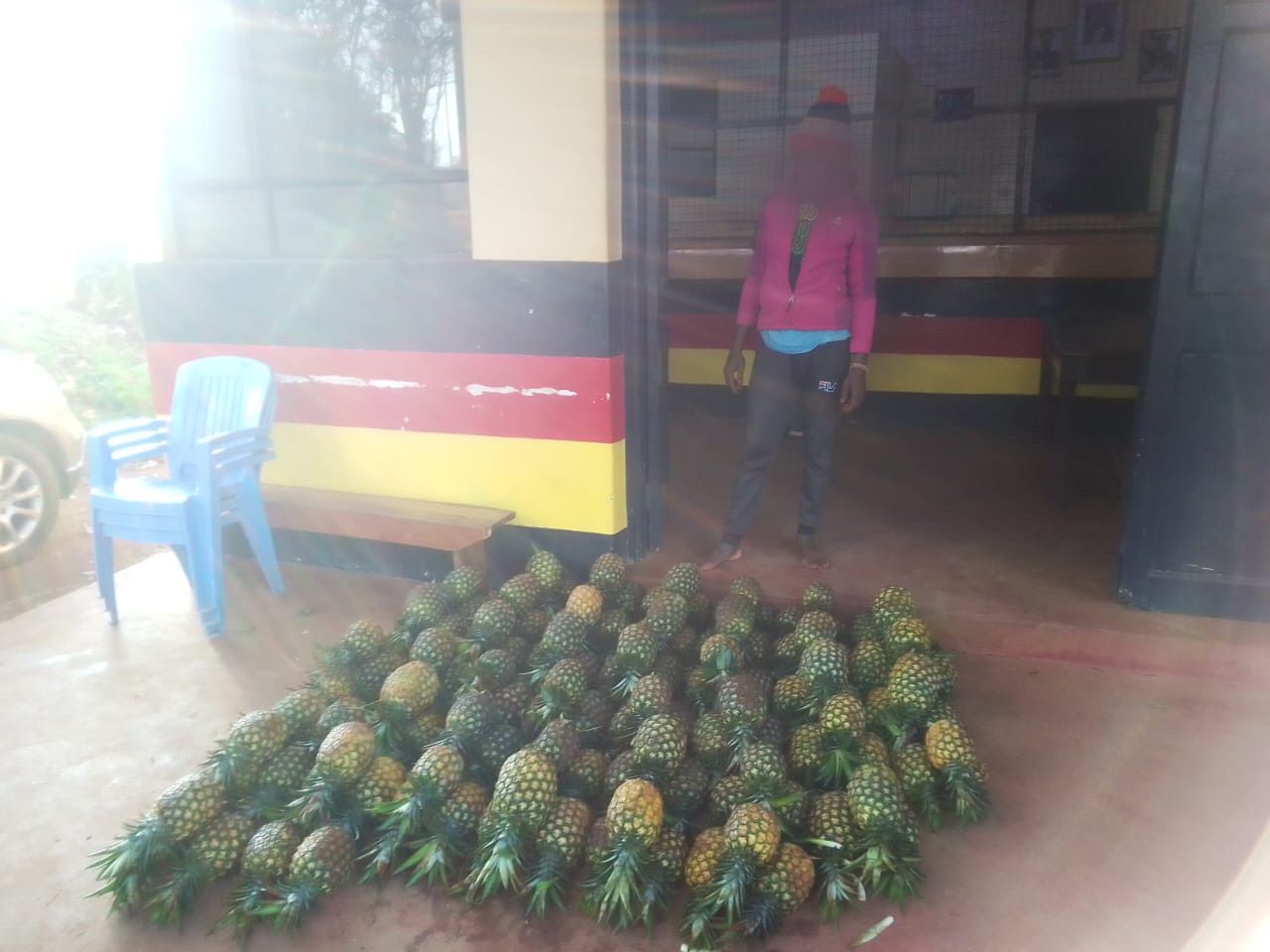 Police recover 120 stolen Del Monte pineapples in Ithanga Kakuzi crackdown