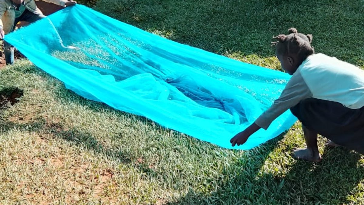 Vihiga families plead for govt help amid bedbug invasion