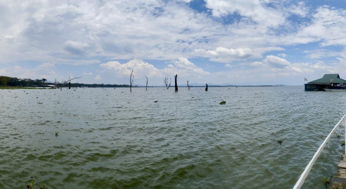 A view of Lake Naivasha. PHOTO/@UKinKenya/X
