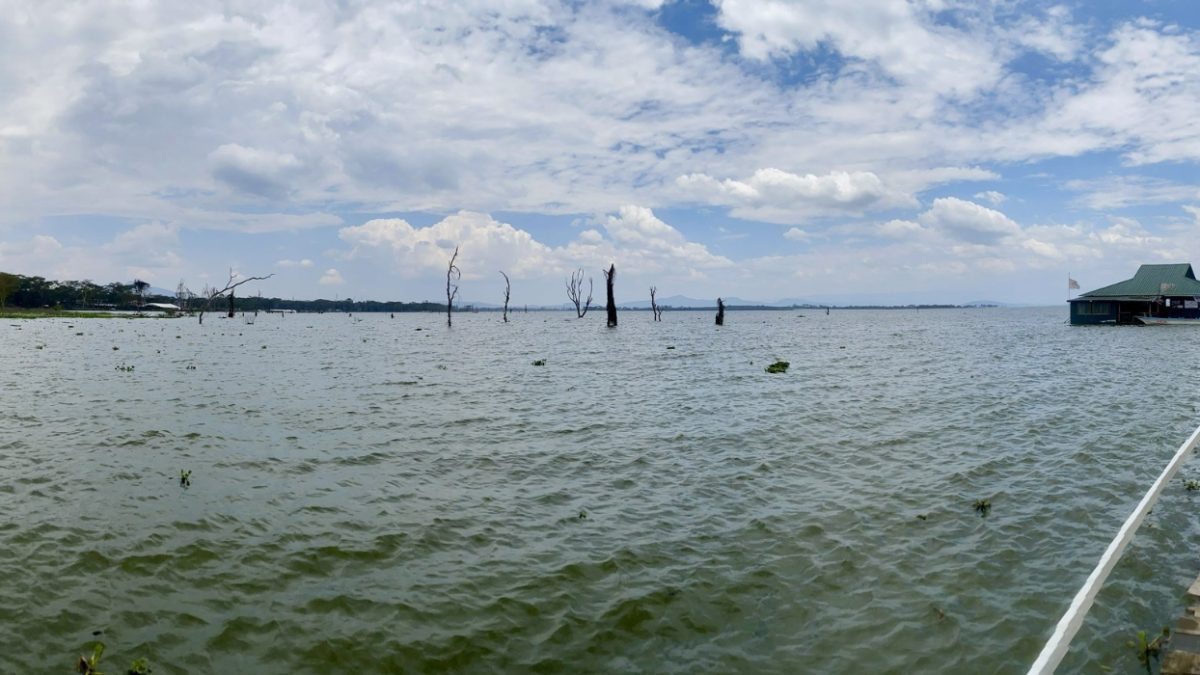A view of Lake Naivasha. PHOTO/@UKinKenya/X