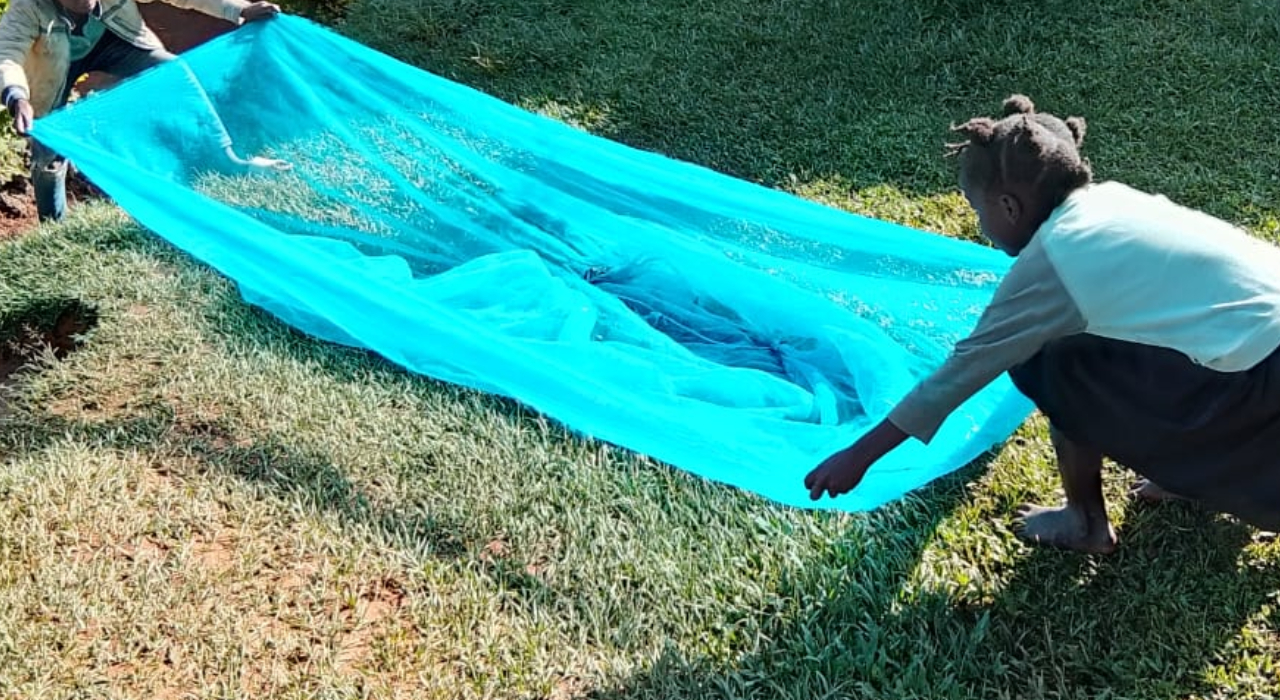 Vihiga families plead for govt help amid bedbug invasion
