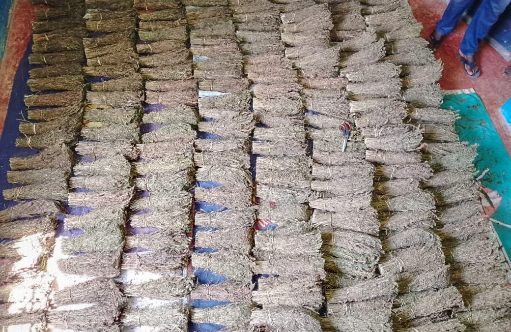 Siaya: 2 nabbed as police seize three sacks of bhang disguised as brooms